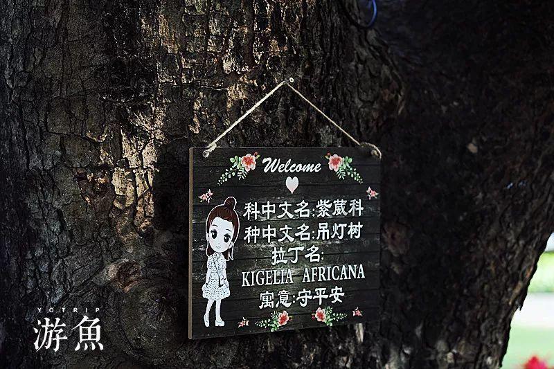 立春时节棚室生产“六做好”